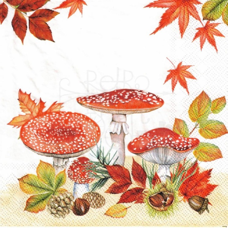 Serwetka 33x33 - Grzyby muchomory liście i szyszki