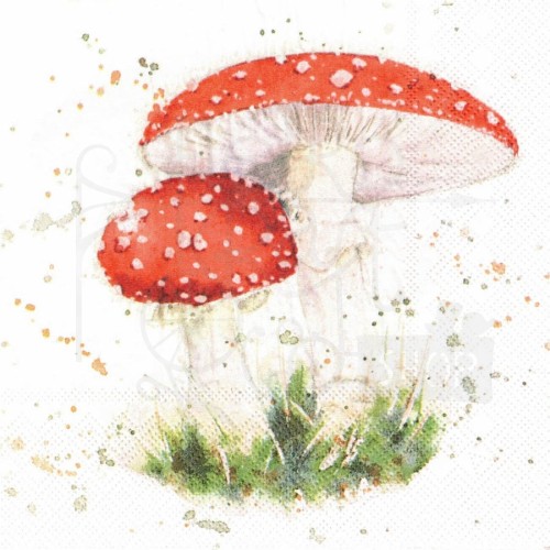 Serwetka 33x33 - Grzyby muchomory