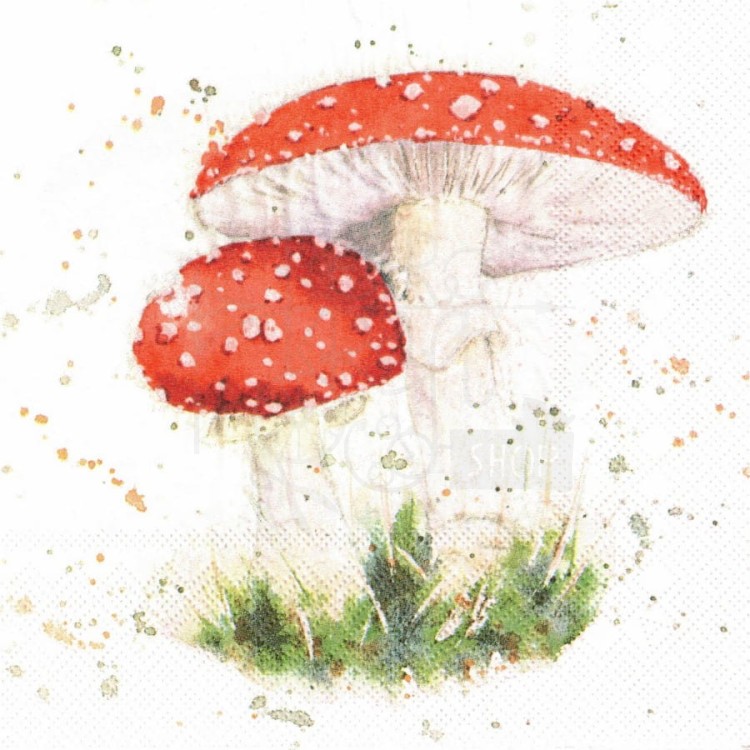 Serwetka 33x33 - Grzyby muchomory