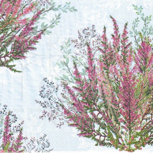 Serwetka 33x33 - Wrzos
