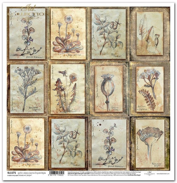 Papier do scrapbookingu 30x30 Herbarium 2 - Zielnik - zioła rośliny SL1171 ITD Collection