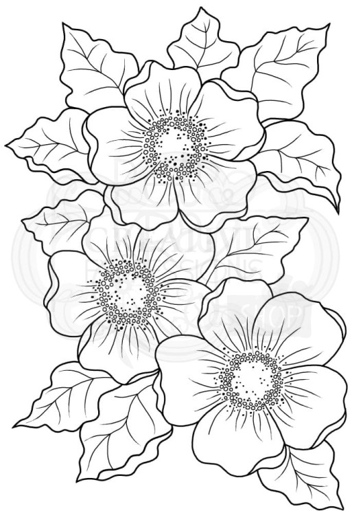 Stempel akrylowy Singles Scented Blooms JGS756 Woodware Craft Collection