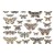 Ozdoby foliowe Idea-Ology Transparent Moths TH94403 Tim Holtz