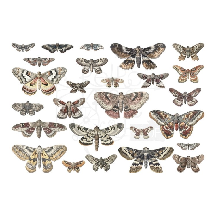 Ozdoby foliowe Idea-Ology Transparent Moths TH94403 Tim Holtz