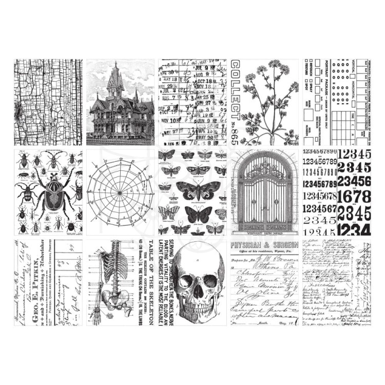 Idea-ology Collage Paper Halloween TH94393 Tim Holtz