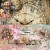Zestaw papierów do scrapbookingu 30x30 Steampunk Time AA-ST-07 Alchemy of Art