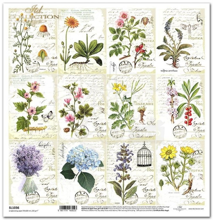Papier do scrapbookingu 30x30 Zielnik - Herbarium SL1036 ITD Collection