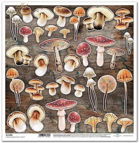 Papier do scrapbookingu 30x30 Mysterious forest - grzyby SL1182 ITD Collection