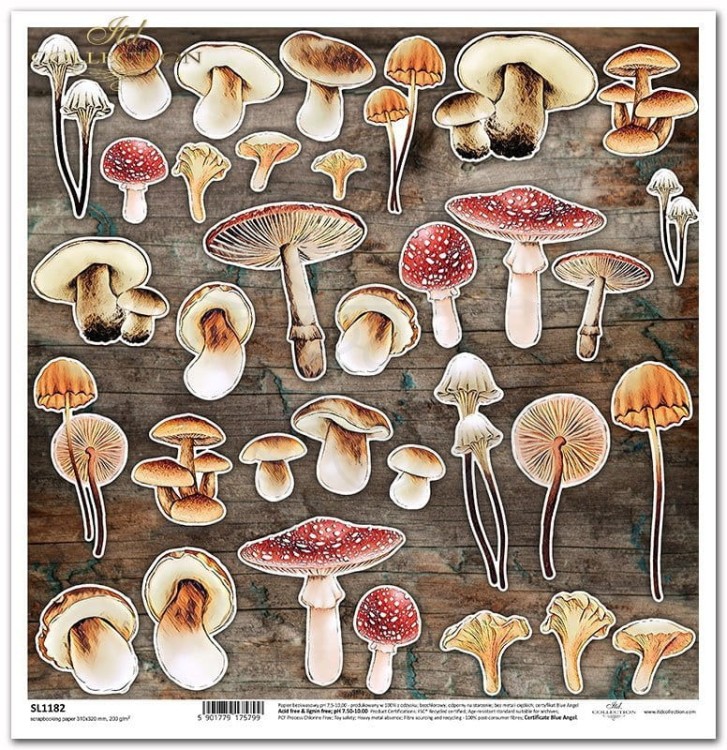 Papier do scrapbookingu 30x30 Mysterious forest - grzyby SL1182 ITD Collection