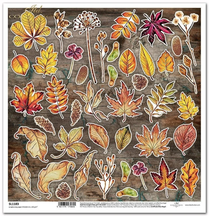 Papier do scrapbookingu 30x30 Mysterious forest - liście SL1183 ITD Collection