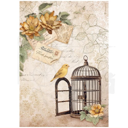 Papier ryżowy do decoupage A4 Golden Harmony Klatka DFSA4950 Stamperia
