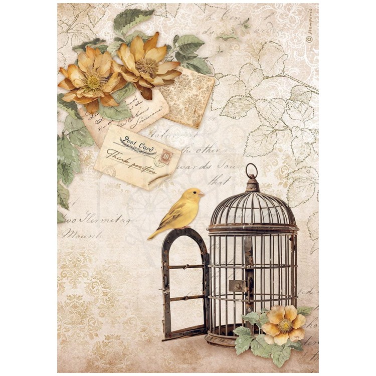 Papier ryżowy do decoupage A4 Golden Harmony Klatka DFSA4950 Stamperia