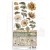 Ozdoby papierowe Die-cuts 15x30cm Golden Harmony 4 arkusze SBBCT01 Stamperia