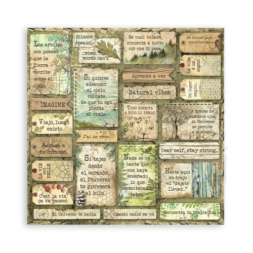 Zestaw papierów do scrapbookingu 20x20 Forest SBBS06 Stamperia