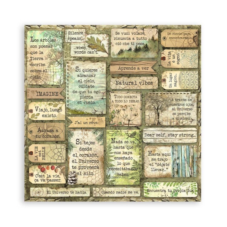 Zestaw papierów do scrapbookingu 20x20 Forest SBBS06 Stamperia