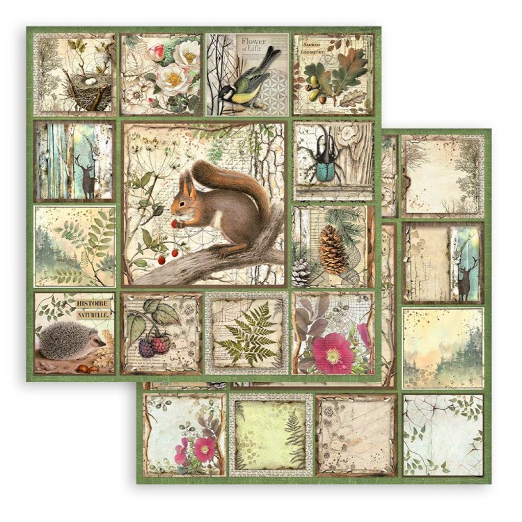 Zestaw papierów do scrapbookingu 20x20 Forest SBBS06 Stamperia