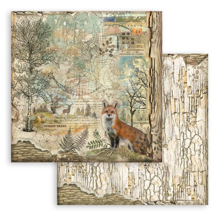Zestaw papierów do scrapbookingu 20x20 Forest SBBS06 Stamperia