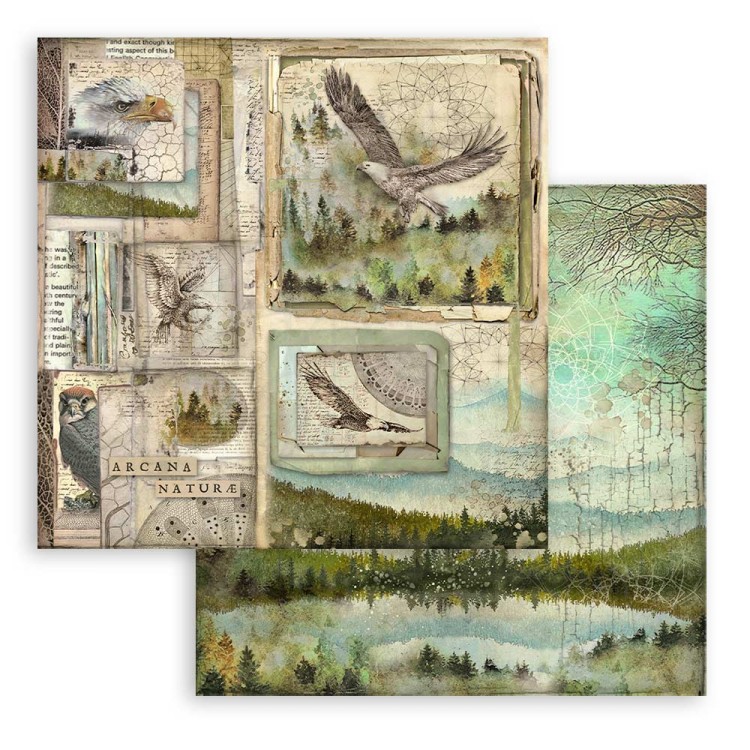 Zestaw papierów do scrapbookingu 20x20 Forest SBBS06 Stamperia