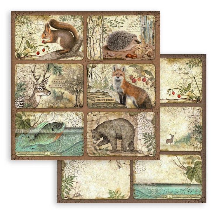 Zestaw papierów do scrapbookingu 20x20 Forest SBBS06 Stamperia