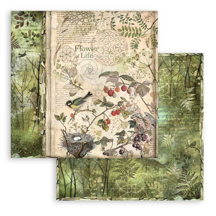 Zestaw papierów do scrapbookingu 20x20 Forest SBBS06 Stamperia