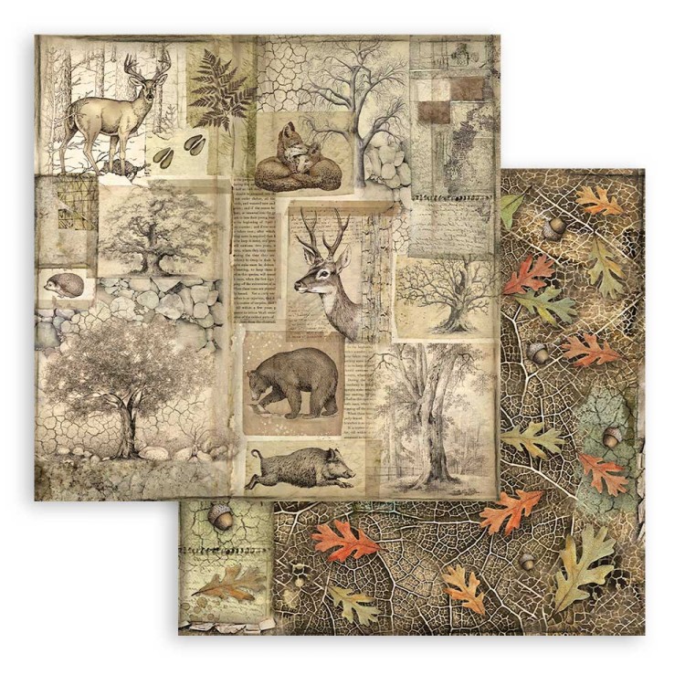 Zestaw papierów do scrapbookingu 20x20 Forest SBBS06 Stamperia
