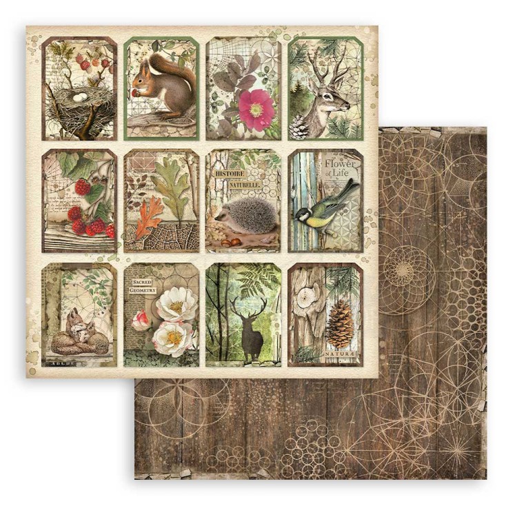 Zestaw papierów do scrapbookingu 20x20 Forest SBBS06 Stamperia