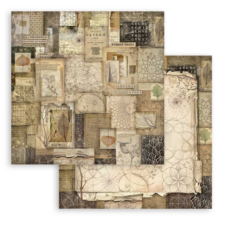 Zestaw papierów do scrapbookingu 20x20 Forest SBBS06 Stamperia