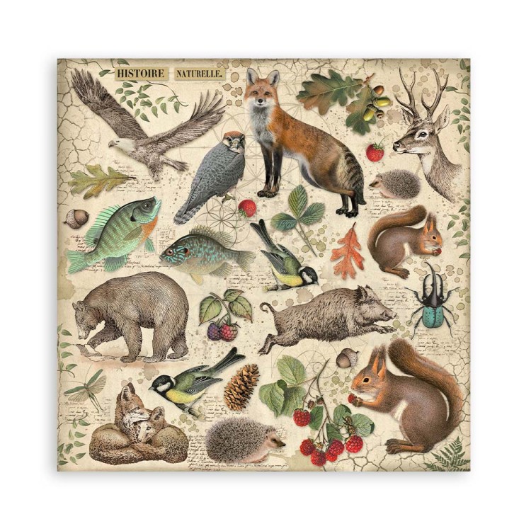 Zestaw papierów do scrapbookingu 20x20 Forest SBBS06 Stamperia