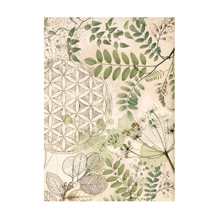 Papier ryżowy A6 Forest Backgrounds tła - zestaw 8szt DFSAK6030 Stamperia