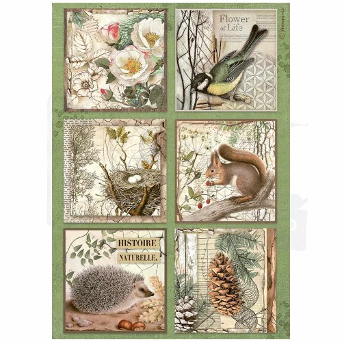 Papier ryżowy do decoupage A4 Forest 6 kart zwierzaki DFSA4952 Stamperia