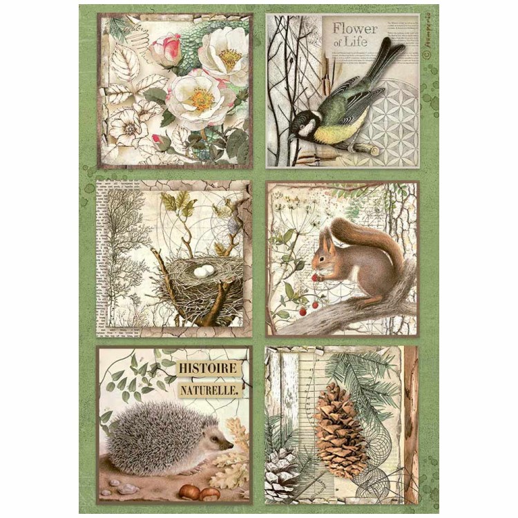 Papier ryżowy do decoupage A4 Forest 6 kart zwierzaki DFSA4952 Stamperia