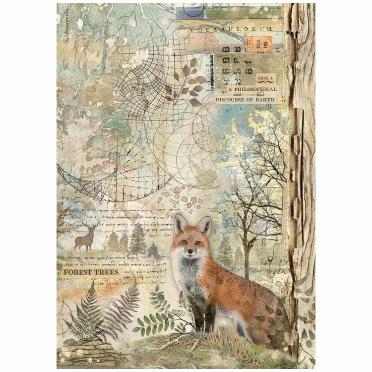 Papier ryżowy do decoupage A4 Forest Lisek DFSA4951 Stamperia