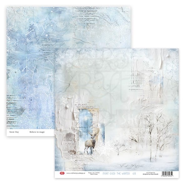 Zestaw papierów do scrapbookingu 30x30 Paint Over The Winter CPS-PT30-6 Craft&amp;You Design