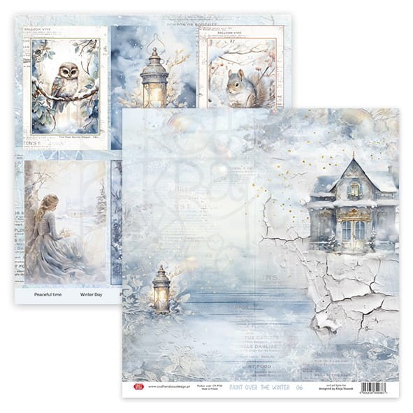 Zestaw papierów do scrapbookingu 30x30 Paint Over The Winter CPS-PT30-6 Craft&amp;You Design