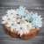 Wykrojnik Magda's Poinsettia Bigger Flowers CW308 Craft&amp;You Design