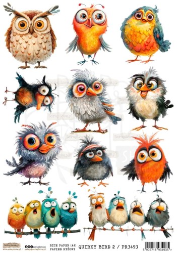 Papier ryżowy do decoupage A4 Quirky Birds 2 PR3493 ScrapLove