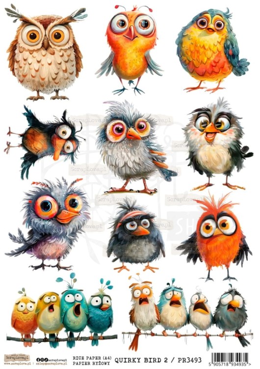 Papier ryżowy do decoupage A4 Quirky Birds 2 PR3493 ScrapLove