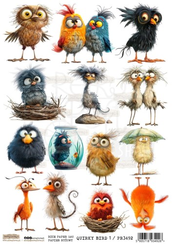 Papier ryżowy do decoupage A4 Quirky Birds 1 PR3492 ScrapLove