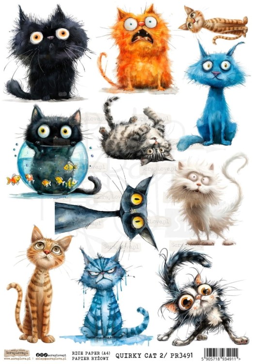 Papier ryżowy do decoupage A4 Quirky Cat 2 PR3491 ScrapLove