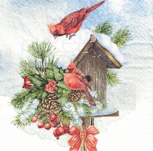 Serwetka 33x33 - Domek dla ptaków i dwa kardynały