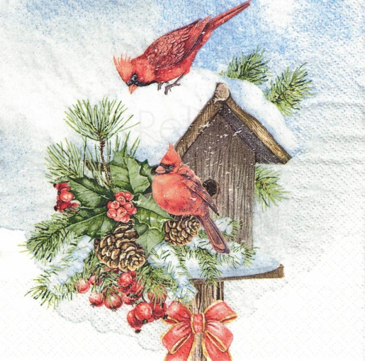 Serwetka 33x33 - Domek dla ptaków i dwa kardynały