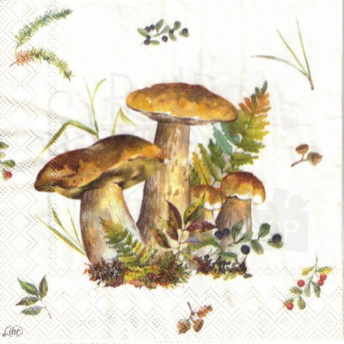 Serwetka 25x25 - Grzyby borowiki