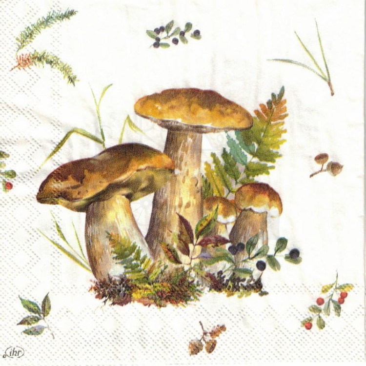 Serwetka 25x25 - Grzyby borowiki