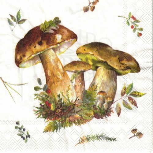 Serwetka 25x25 - Grzyby borowiki