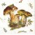 Serwetka 25x25 - Grzyby borowiki