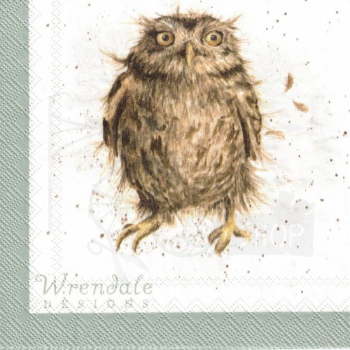 Serwetka 25x25 - Sowy
