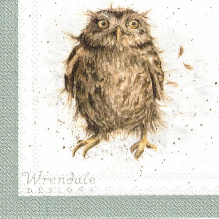 Serwetka 25x25 - Sowy