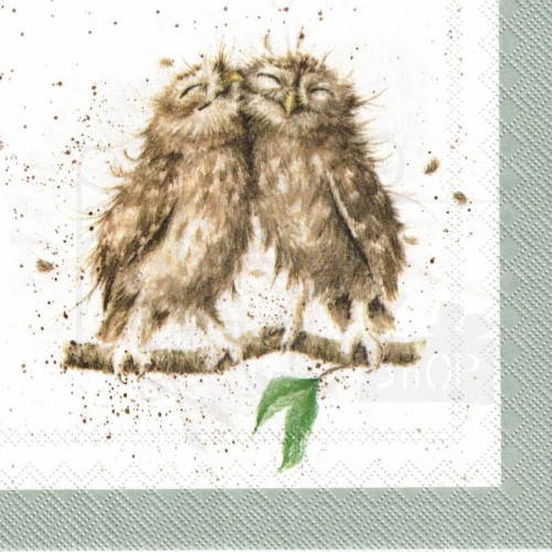 Serwetka 25x25 - Sowy
