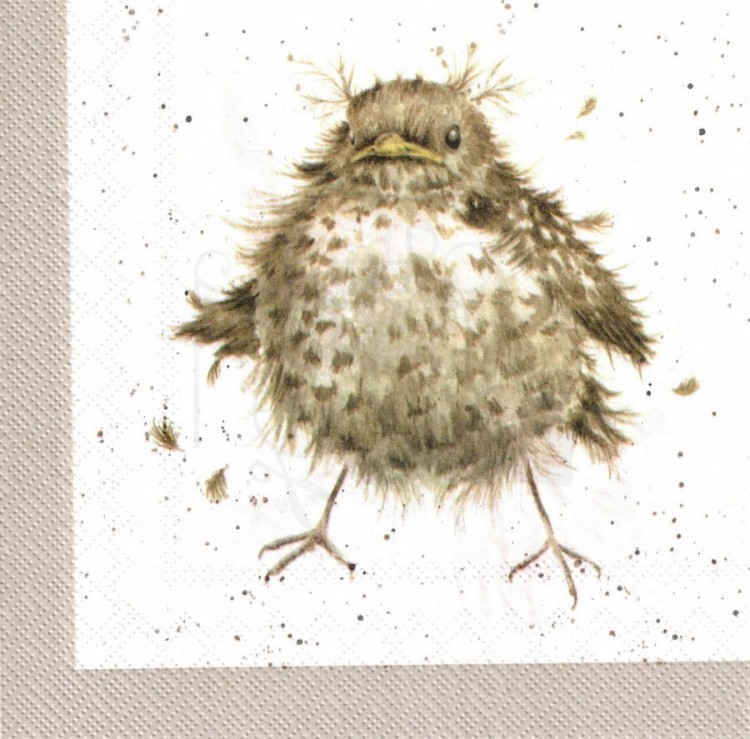 Serwetka 33x33 - 4 ptaki