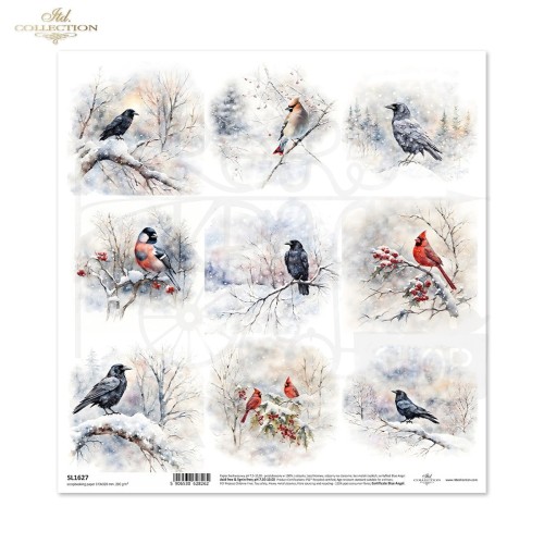Papier do scrapbookingu 30x30 Zimowe ptaki SL1627 ITD Collection